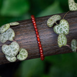 Chantico Zenit (made to order)