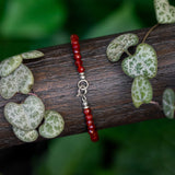 Chantico Zenit (made to order)