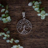 Thuja