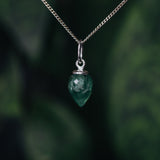 Nova Drupp