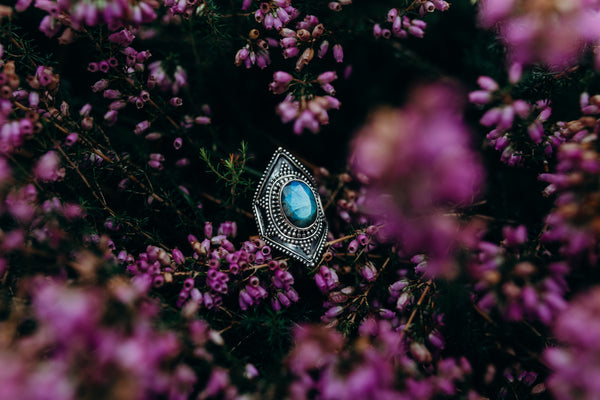 Wiezewasjes is failliet 💔