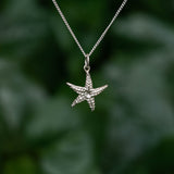 Mira Asterias