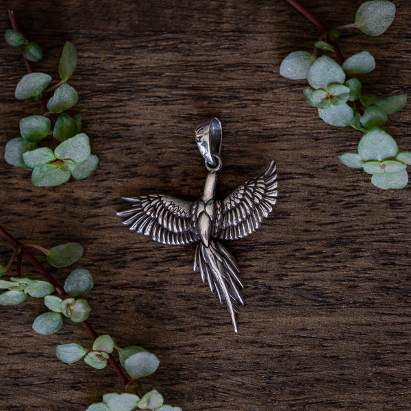 Arius