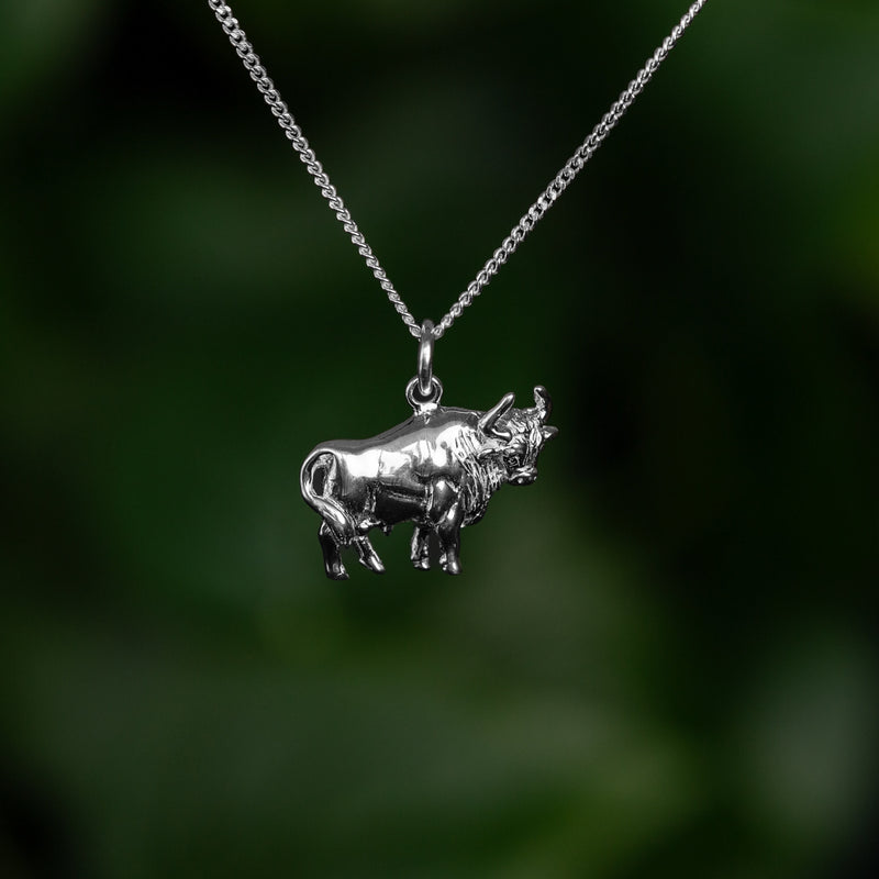 Taurus Zodi