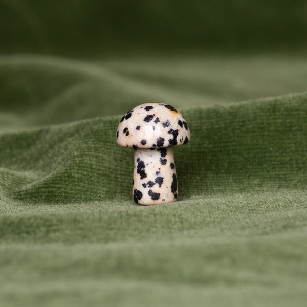 Paddenstoel Dalmatier Jaspis