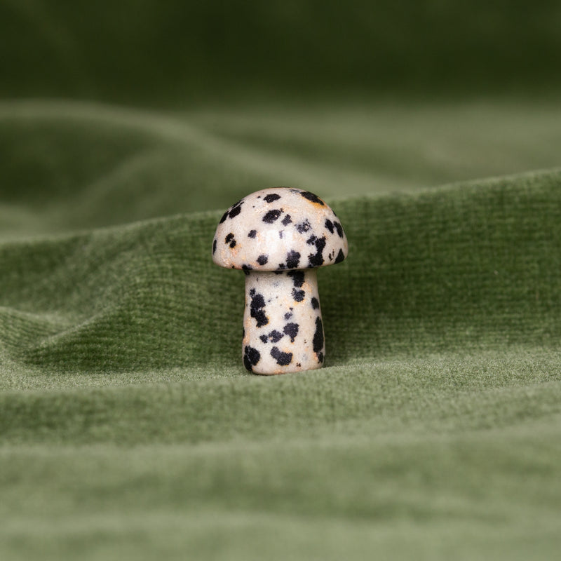 Paddenstoel Dalmatier Jaspis