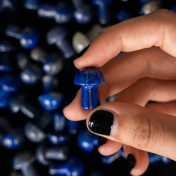 Paddenstoel Lapis Lazuli